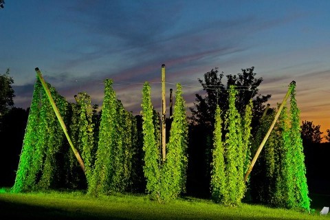 Hachenburger Brauerei Hopfengarten, Clubreise