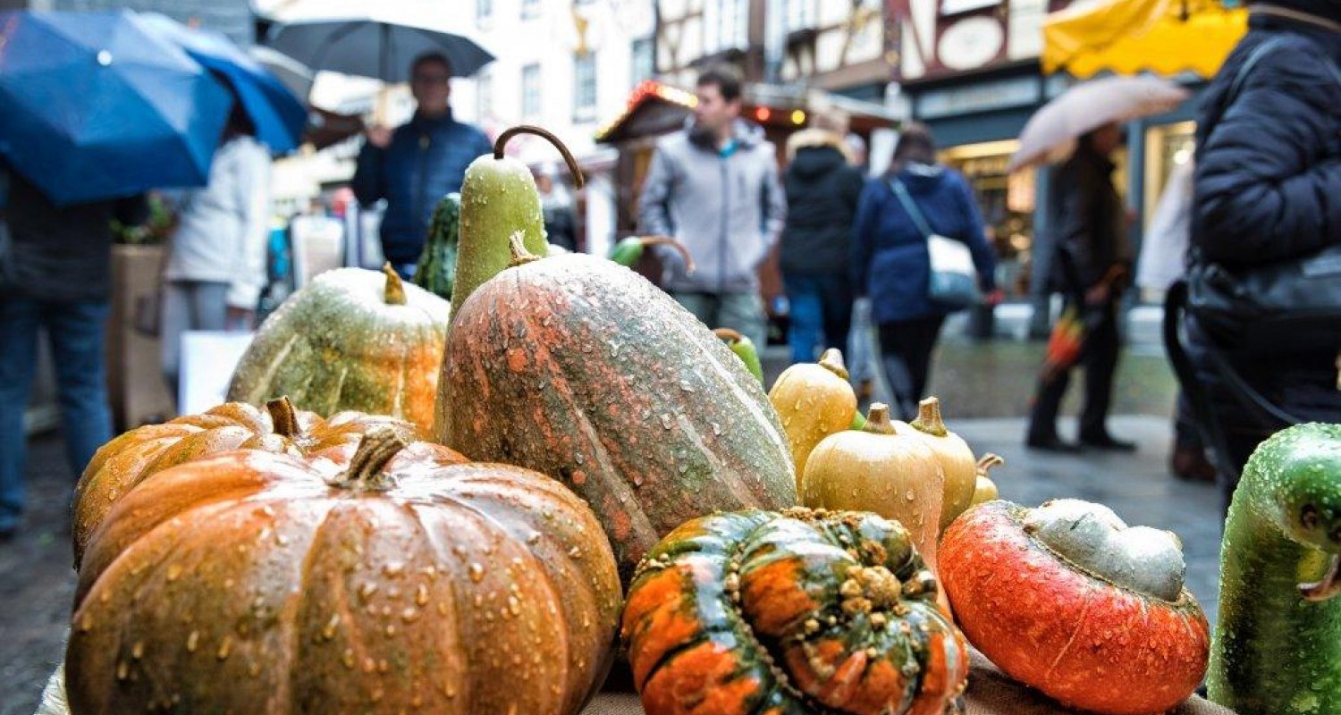 Löwenfest am Alten Markt