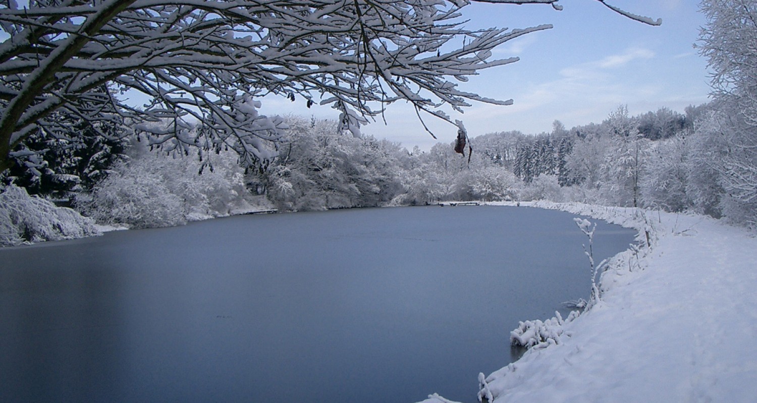 Weiher/See im Winter