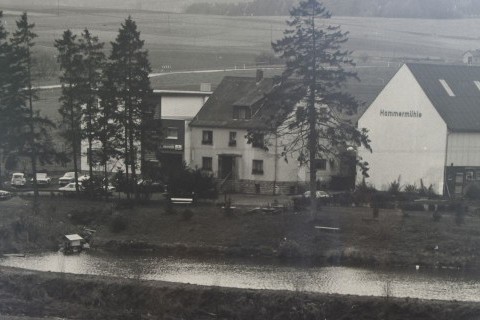 Chronik Weiher schwarz weiß