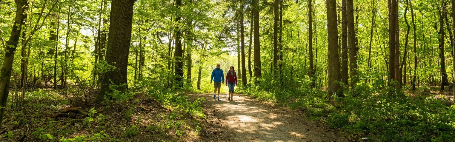 Wandertouren durch den Westerwald