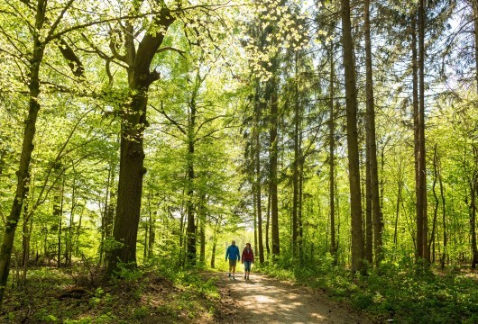 Wandertouren durch den Westerwald