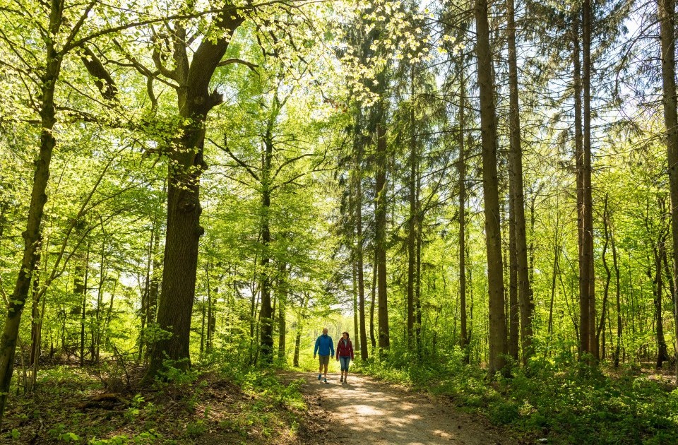 Wandertouren durch den Westerwald
