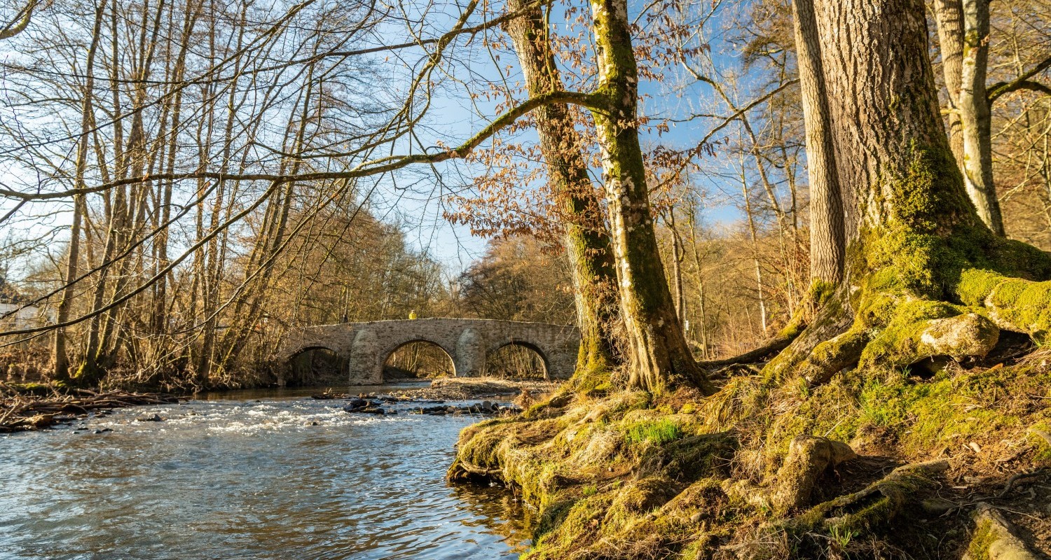 Brücke Nister Marienstatt