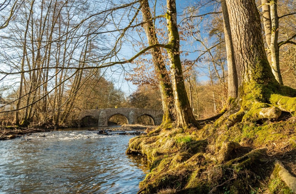 Brücke Nister Marienstatt