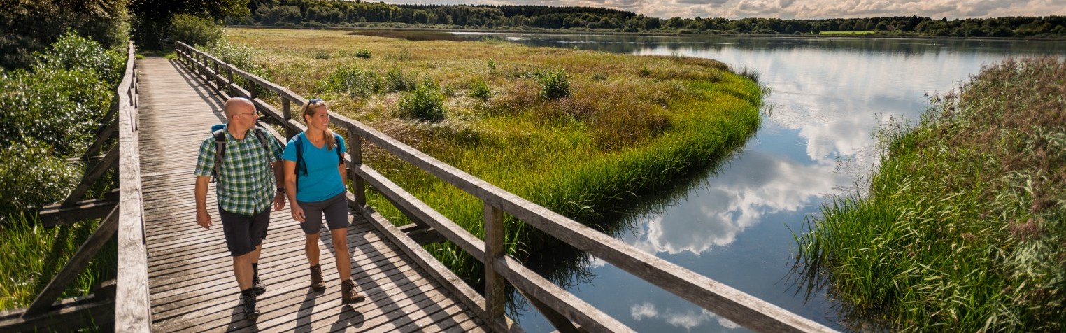 Unterwegs auf dem WesterwaldSteig entlang der Westerwälder Seenplatte
