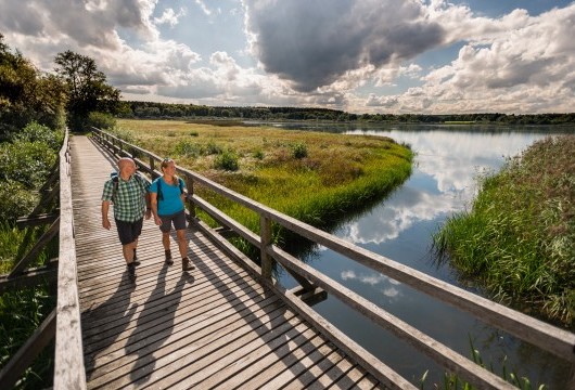 Steg über den Dreifelder Weiher