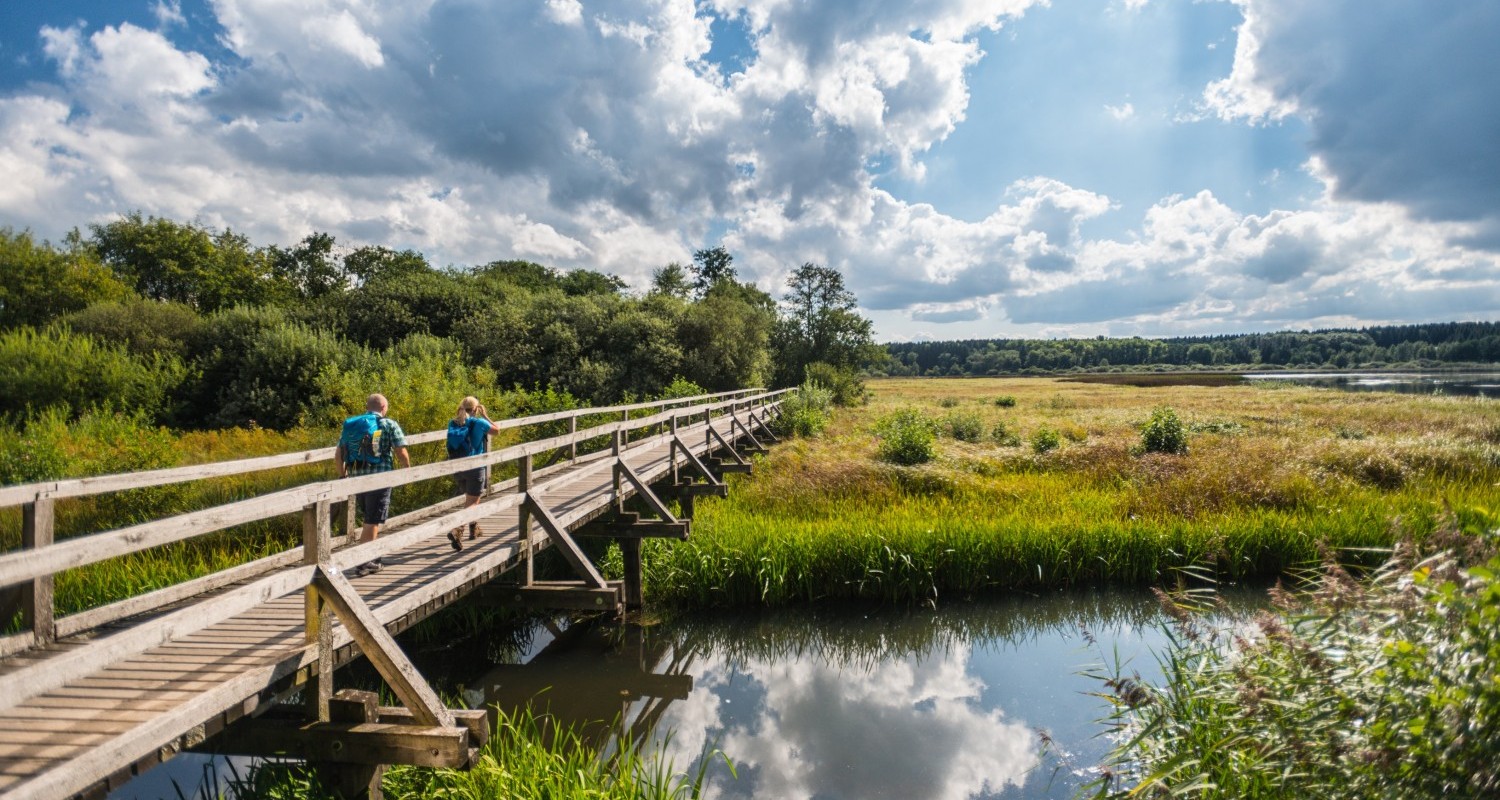 Steg über den Dreifelder Weiher