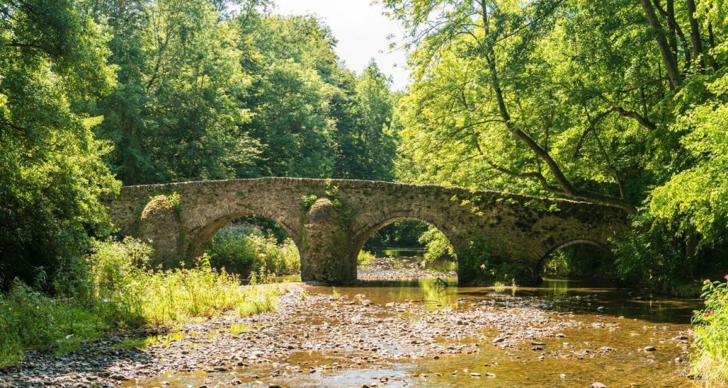 Brücke Nister Marienstatt