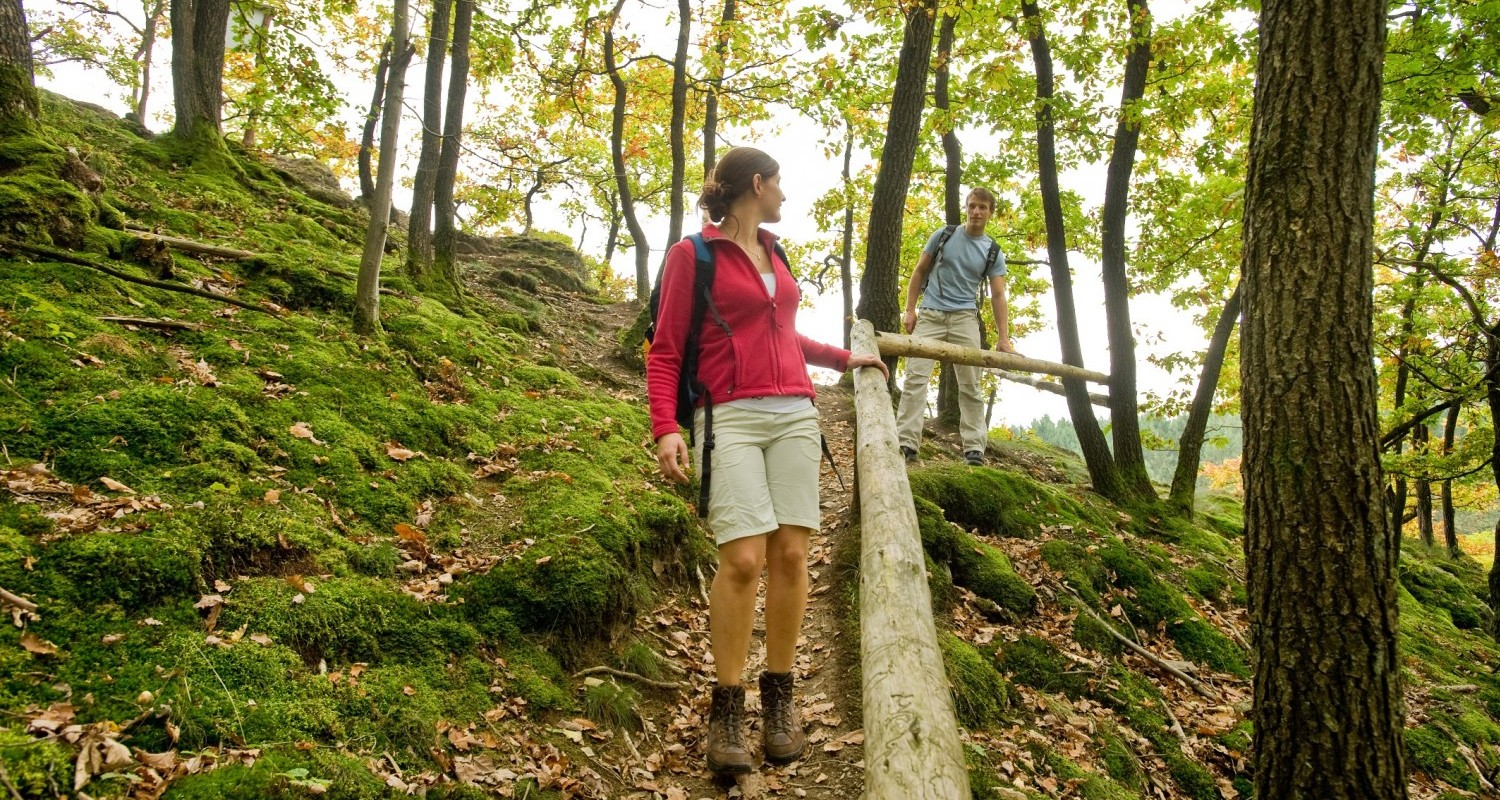 Abstieg vom Hölderstein ins Grenzbachtal