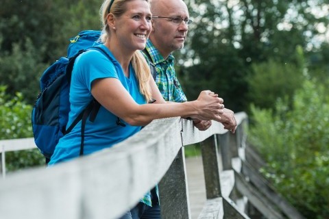Ausblick auf den Dreifelder Weiher genießen
