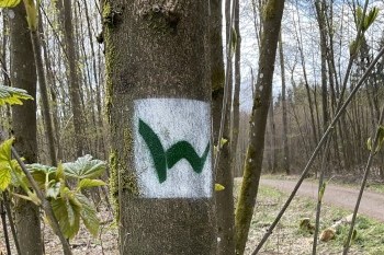 WesterwaldSteig Plakette