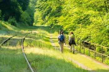 Wäller Tour Brexbachschluchtweg