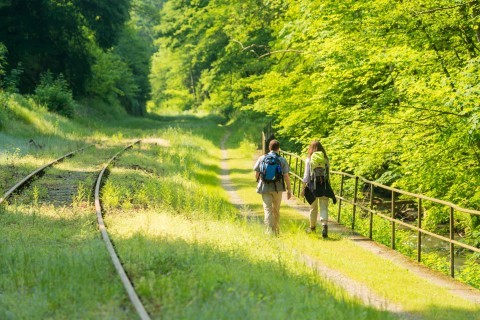 Wäller Tour Brexbachschluchtweg